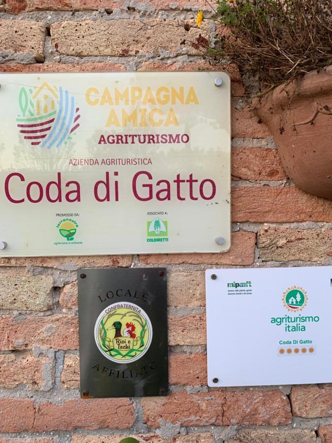 Coda Di Gatto Farm stay